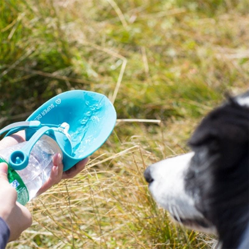 20 OZ Pet Water Bottle Leaf Design