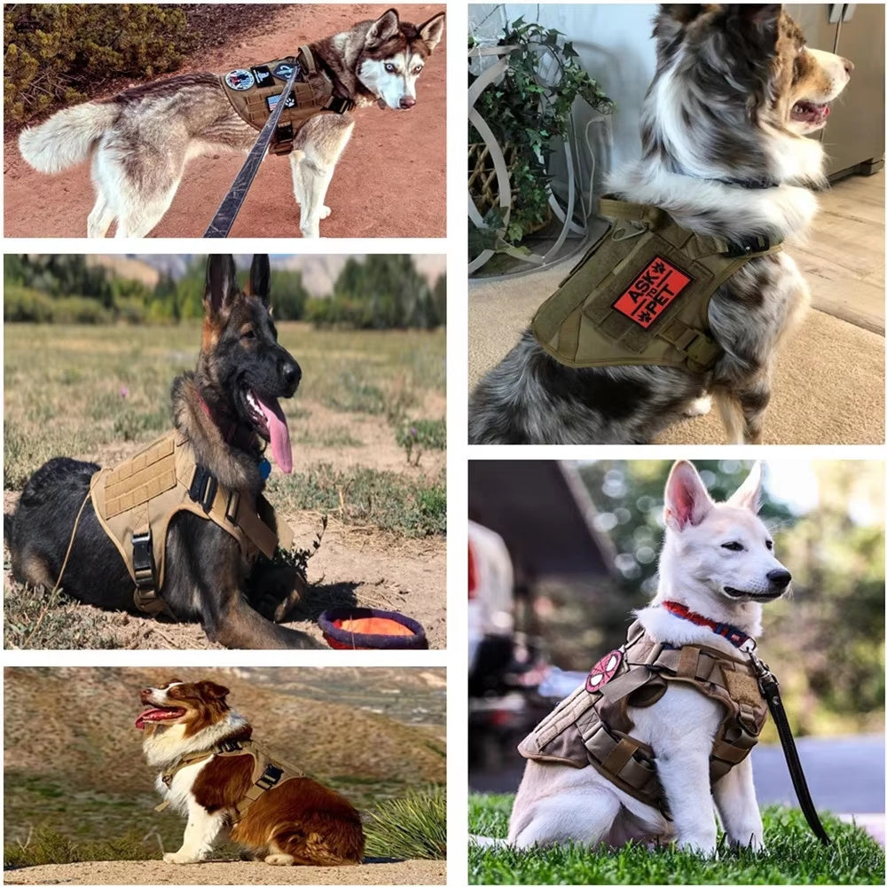 Pet Harness Luxury Dog Leash Set Chest Dog  Nylon Camouflage Dog Harness